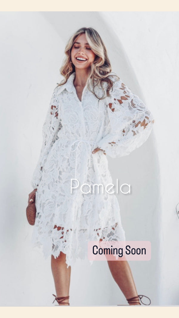 Pamela Lace Dress